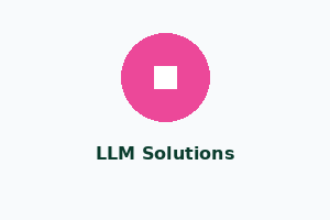 Customized LLM Solutions
